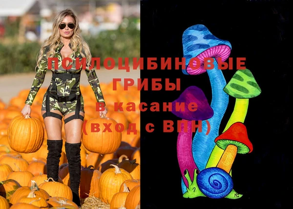 экстази Вяземский